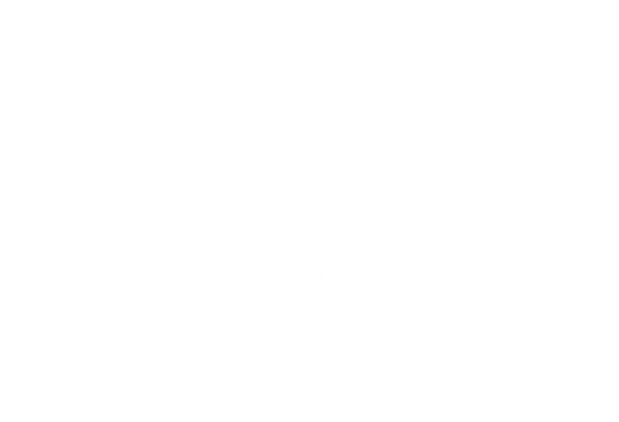 Universidad Complutense de Madrid